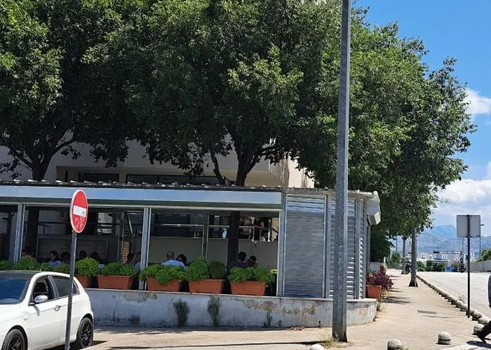 Little Sunlight Oasis *