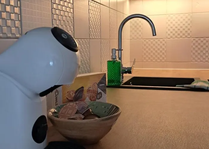 Little Sunlight Oasis *